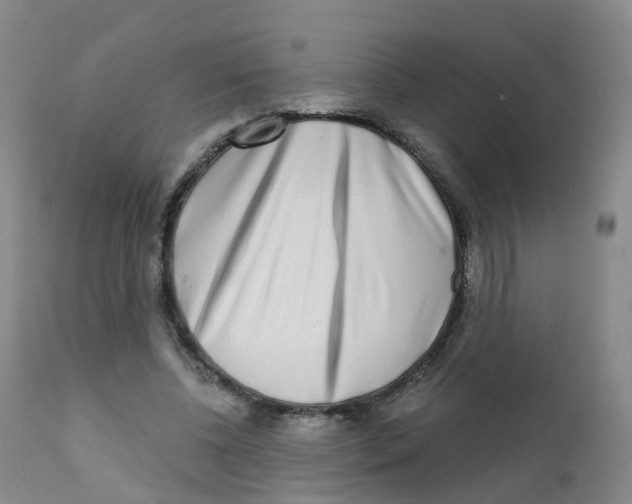 X0000111930540200908241118