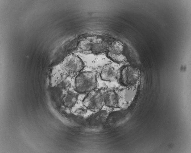 X0000111930541200908241118