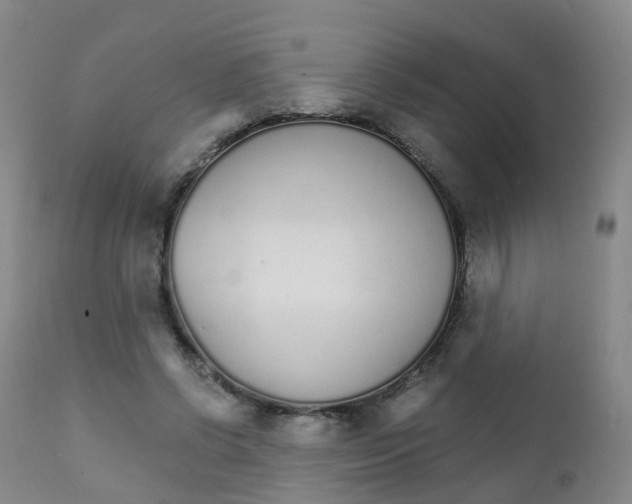 X0000111930542200908241118