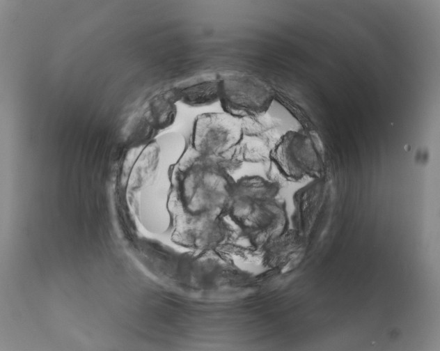 X0000111930545200908241118