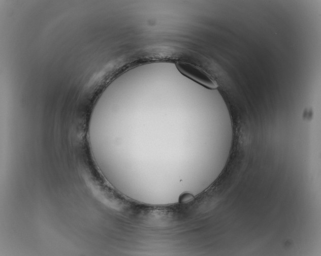 X0000111930546200908241118