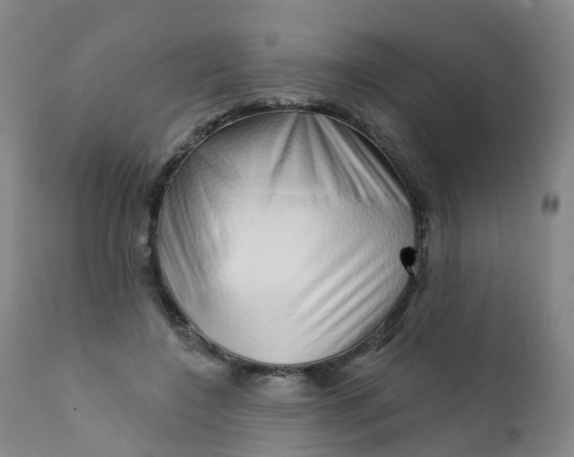 X0000111930548200908241118