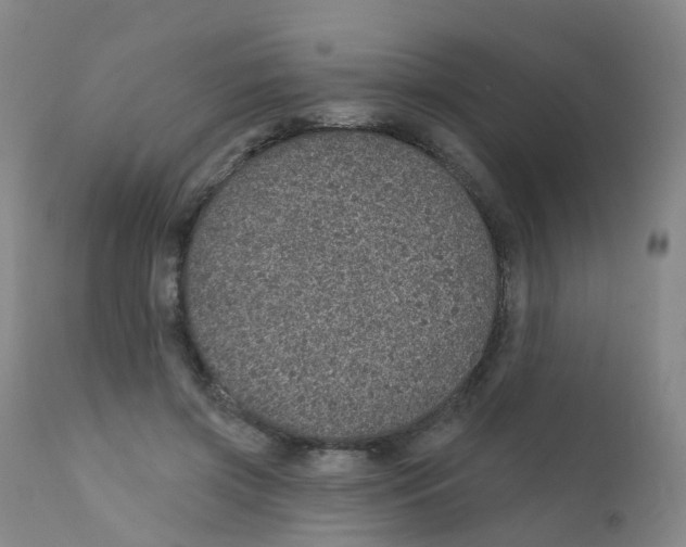 X0000111930549200908241118