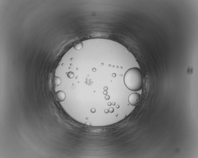 X0000111930550200908241118