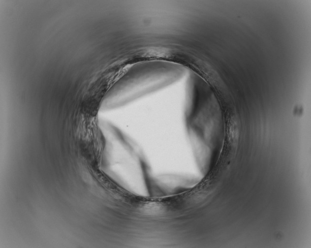 X0000111930551200908241118