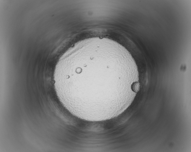 X0000111930553200908241118