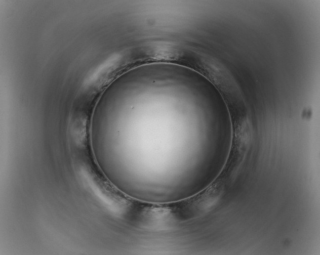 X0000111930554200908241118