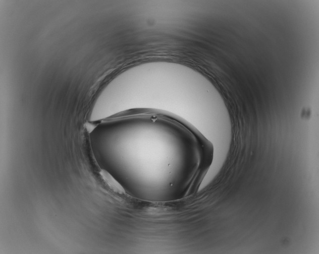 X0000111930556200908241118