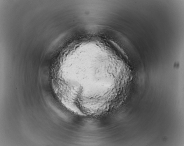 X0000111930557200908241118