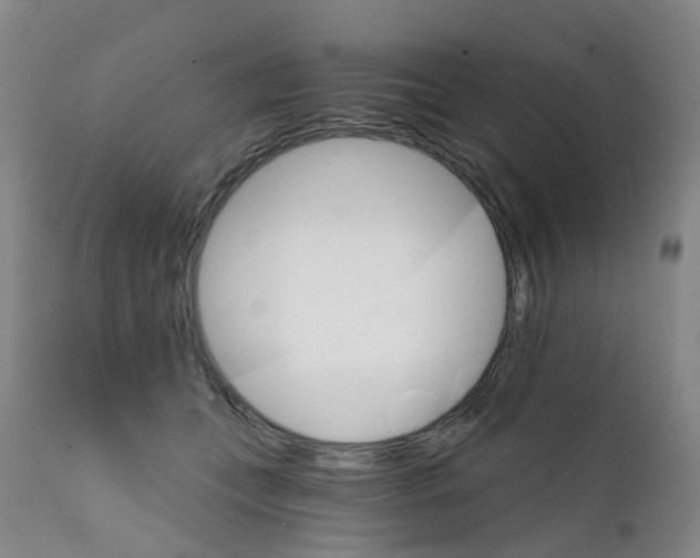 X0000111930559200908241118