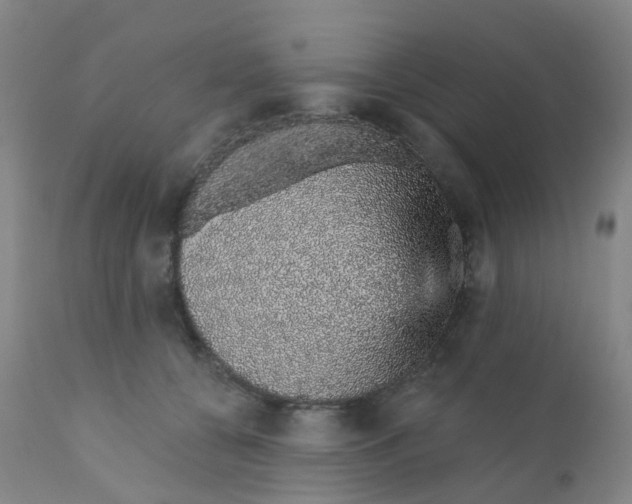 X0000111930560200908241118