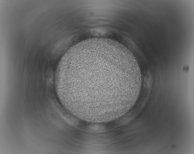 X0000111930561200908241118