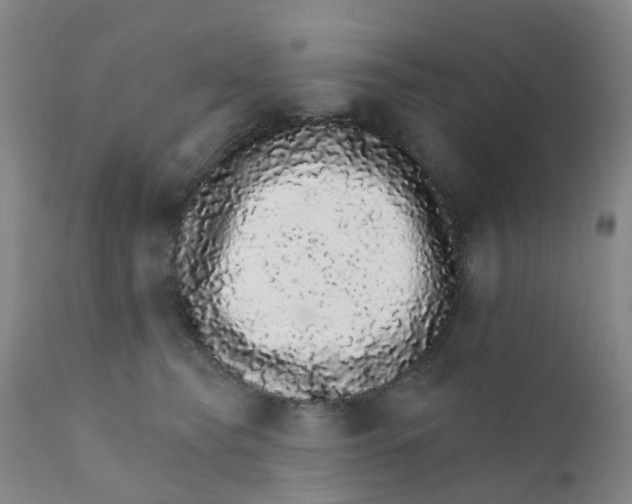 X0000111930565200908241118