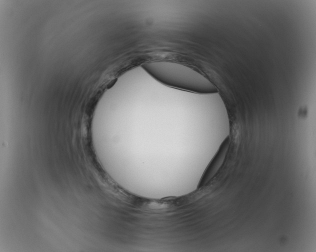 X0000111930570200908241118