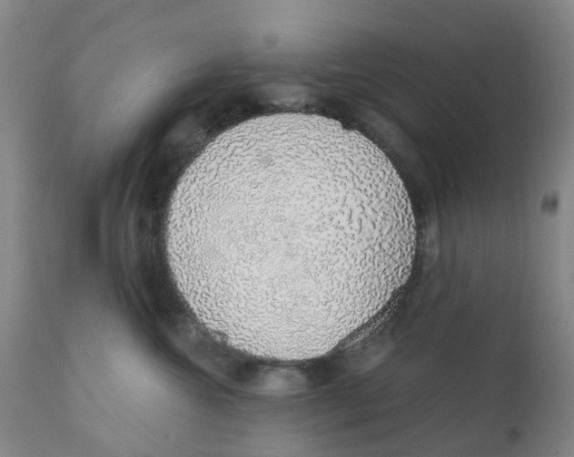 X0000111930572200908241118