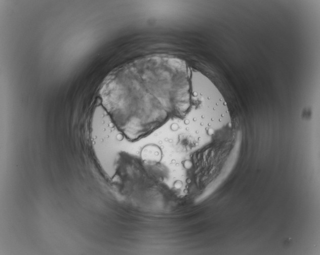 X0000111930573200908241118