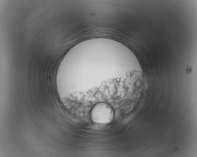 X0000111930575200908241118