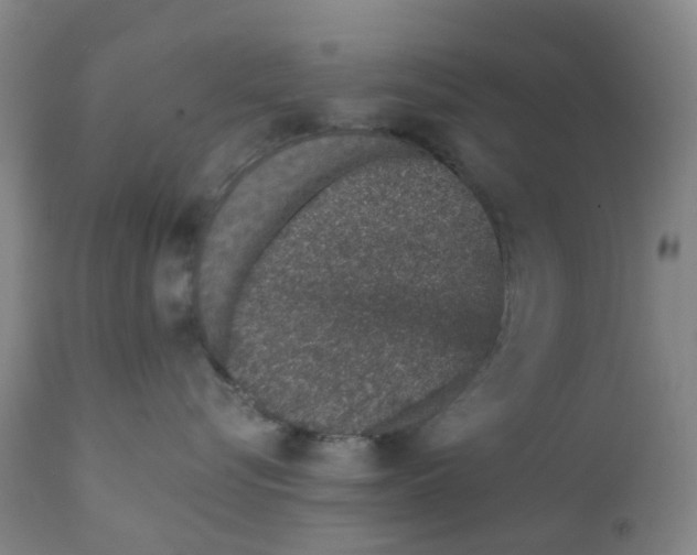 X0000111930576200908241118