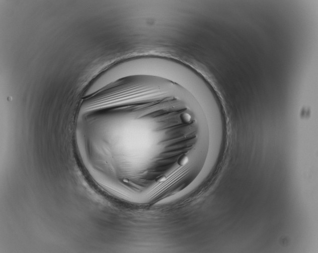 X0000111930577200908241118