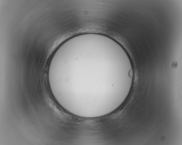 X0000111930578200908241118