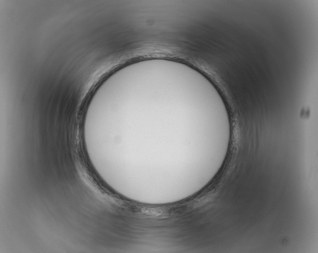 X0000111930582200908241118