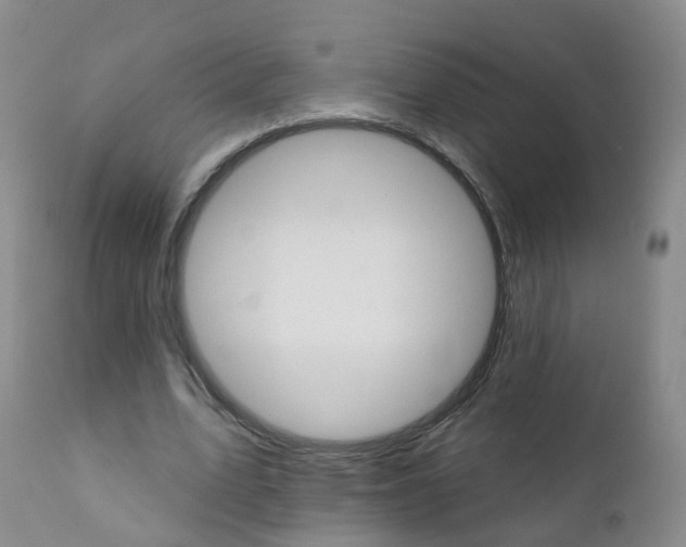 X0000111930583200908241118