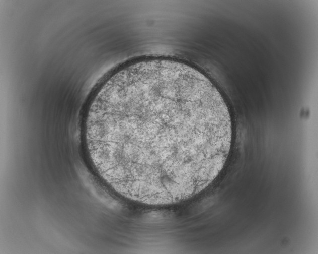 X0000111930584200908241118