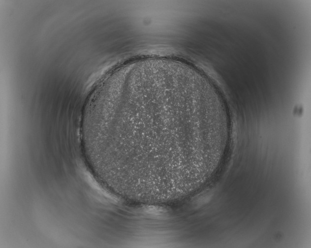 X0000111930585200908241118