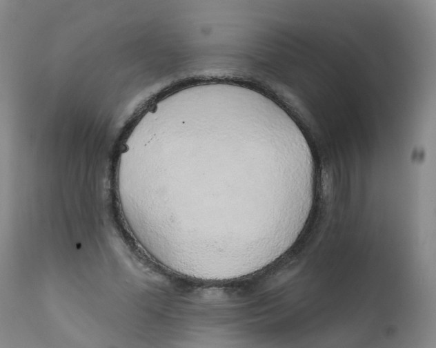 X0000111930588200908241117