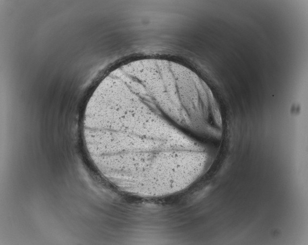 X0000111930592200908241117