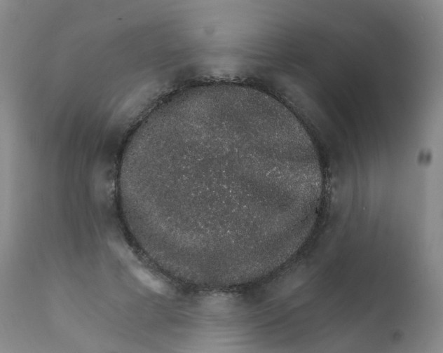 X0000111930593200908241117