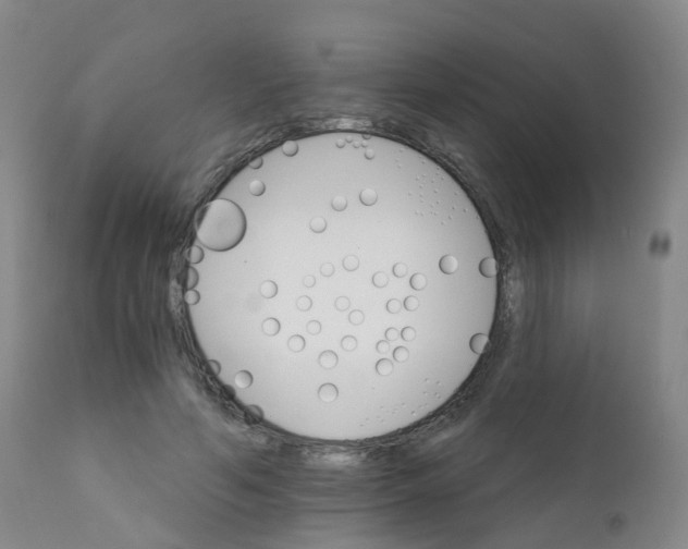 X0000111930594200908241117