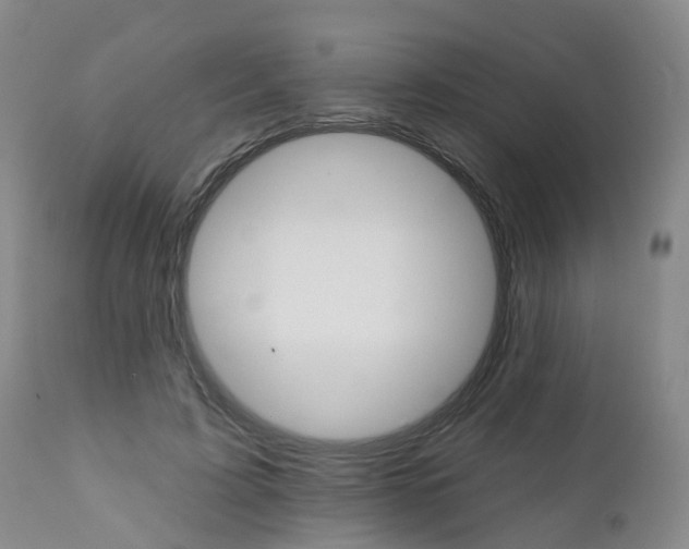 X0000111930595200908241117