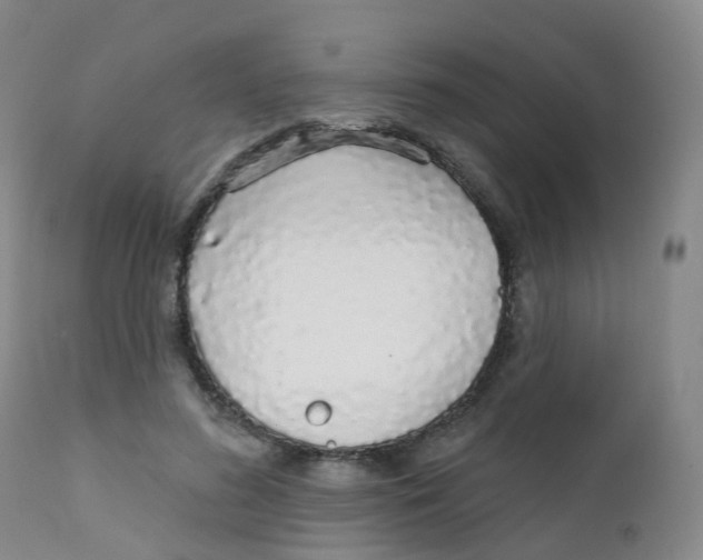 X0000111930596200908241117