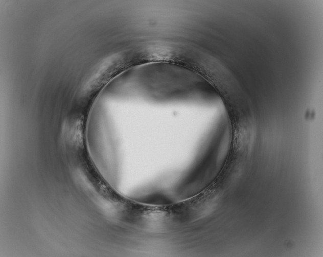 X0000111930598200908241117