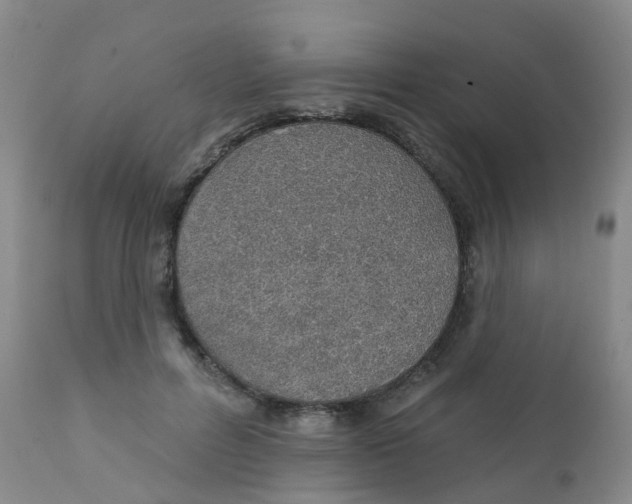 X0000111930600200908241117