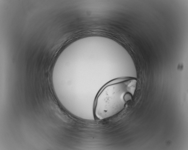 X0000111930601200908241117