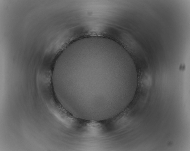 X0000111930603200908241117