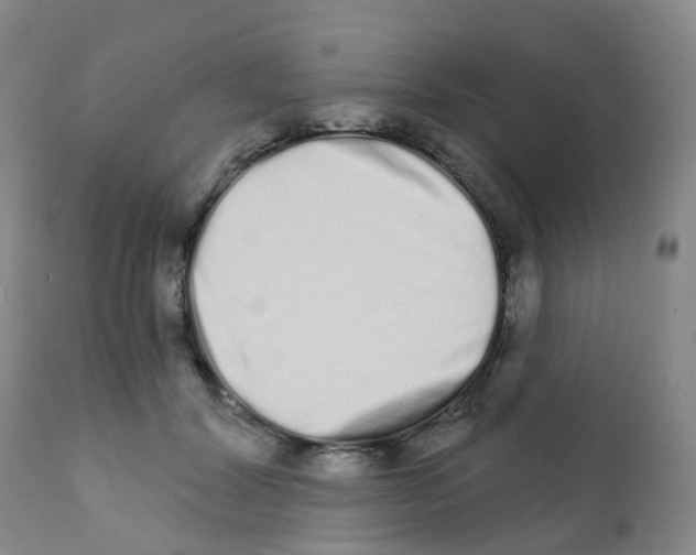 X0000111930604200908241117