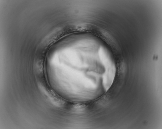 X0000111930606200908241117