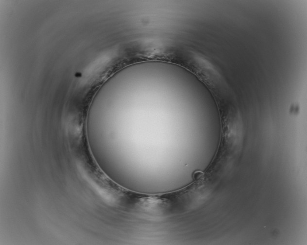 X0000111930607200908241117