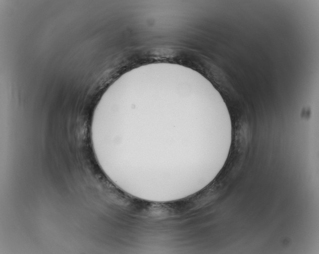 X0000111930608200908241117