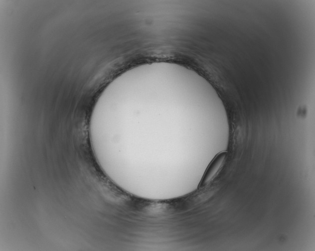 X0000111930609200908241117