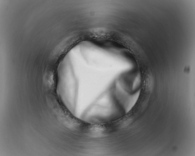 X0000111930610200908241117