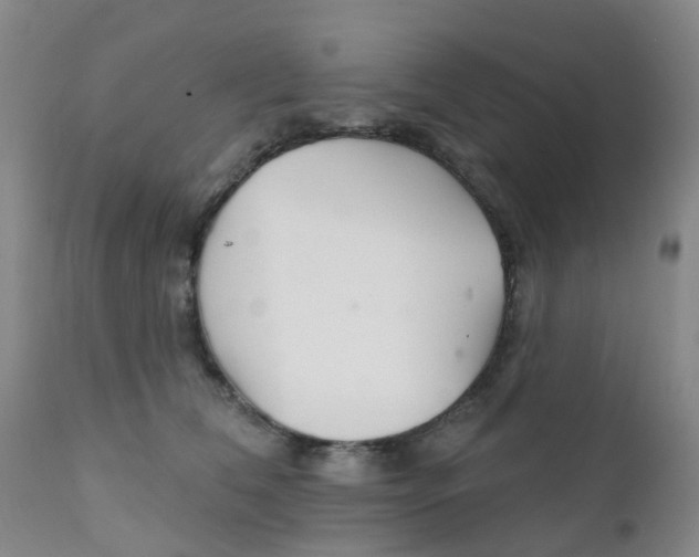 X0000111930612200908241117