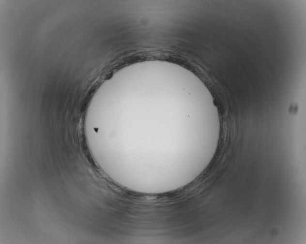 X0000111930613200908241117