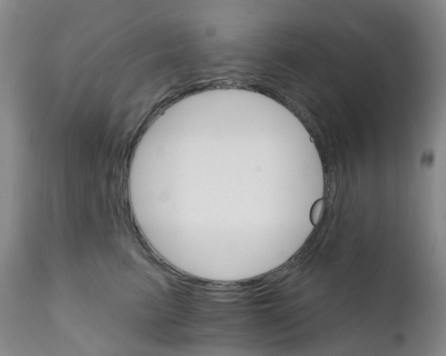 X0000111930615200908241117