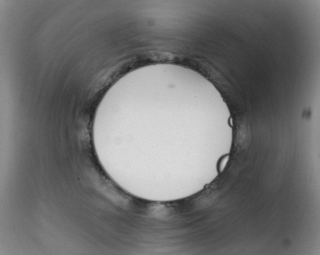 X0000111930616200908241117