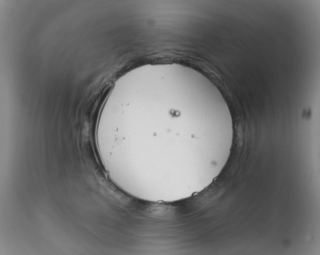 X0000111930617200908241117