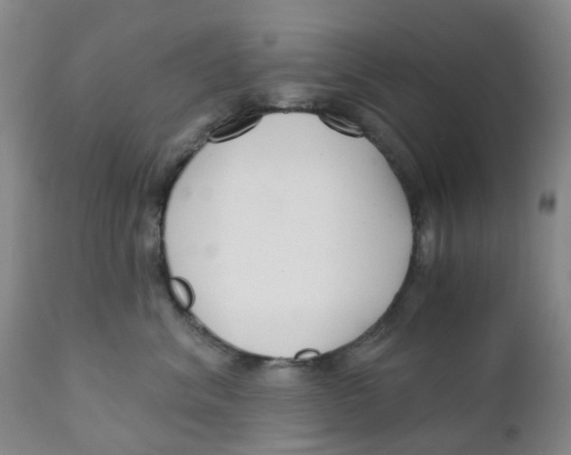 X0000111930620200908241117